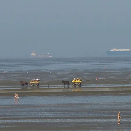 Surfers